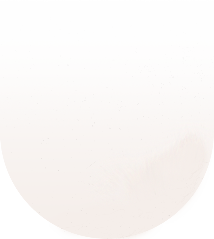 aofixo